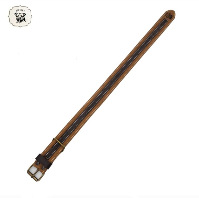 Koevoet (Male Dog) Genuine Leather Dog Collar