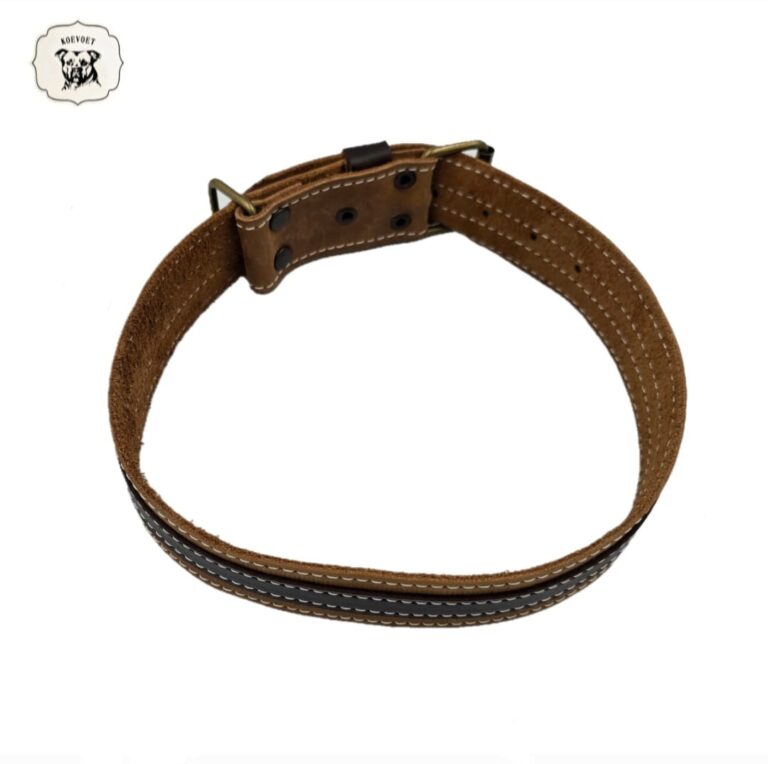 Koevoet (Male Dog) Genuine Leather Dog Collar